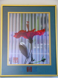 Framed painting of a red hibiscus flower with barred window scene in background